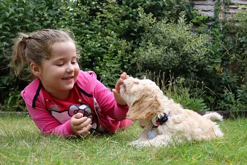 girl playing with dog on grass